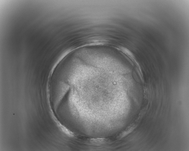 X0000066960859200604142113