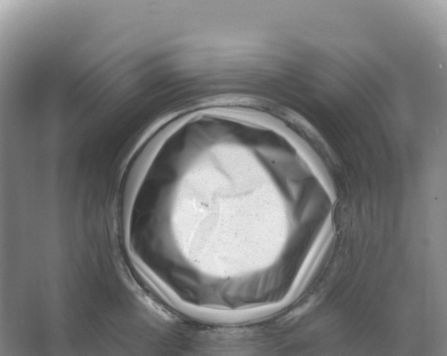 X0000066960860200604142113