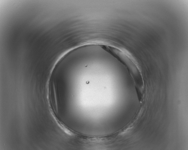 X0000066960862200604142113