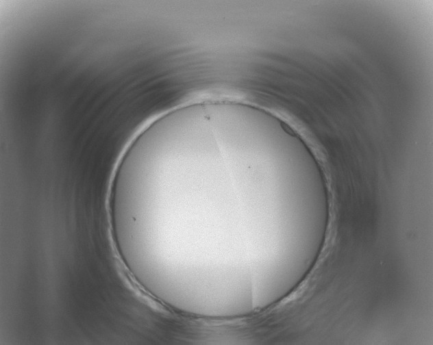 X0000066960864200604142113