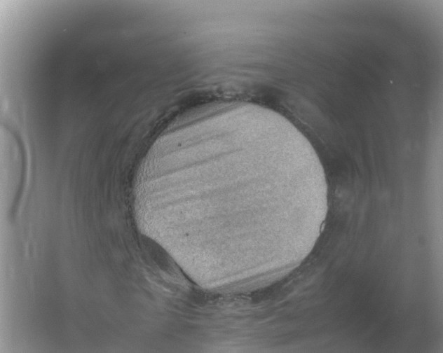 X0000066960865200604142112