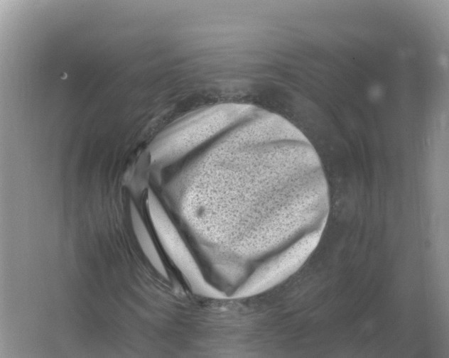 X0000066960866200604142112