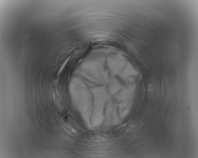 X0000066960868200604142112