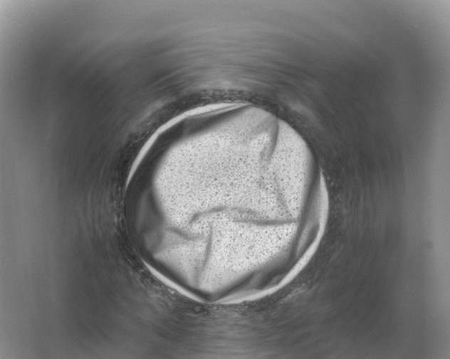 X0000066960870200604142112