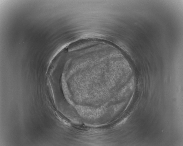 X0000066960877200604142112