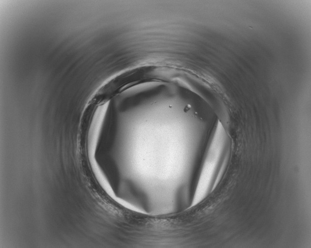 X0000066960880200604142112