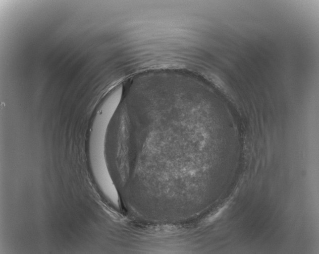 X0000066960881200604142112