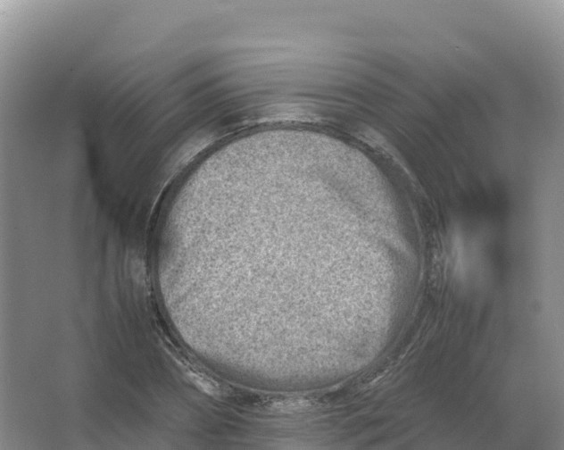 X0000066960882200604142112