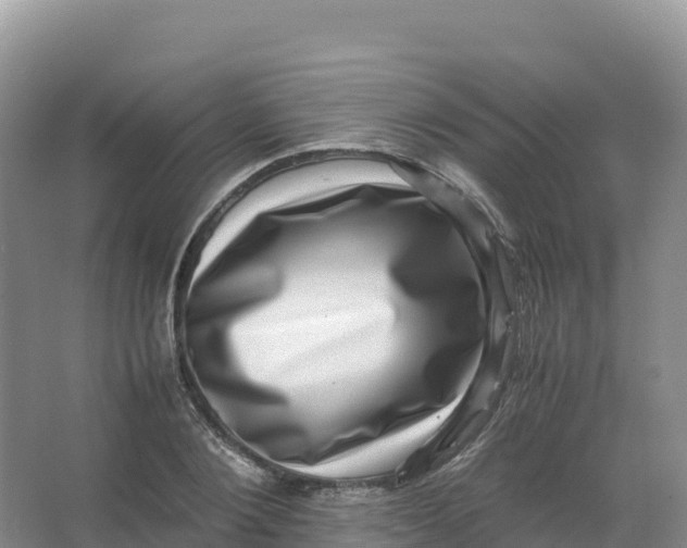 X0000066960884200604142112