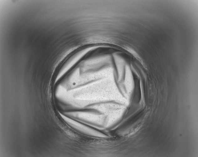 X0000066960885200604142112