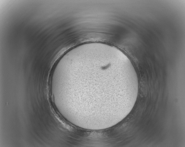 X0000066960890200604142112