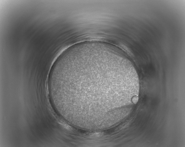 X0000066960891200604142112