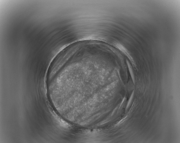 X0000066960892200604142112