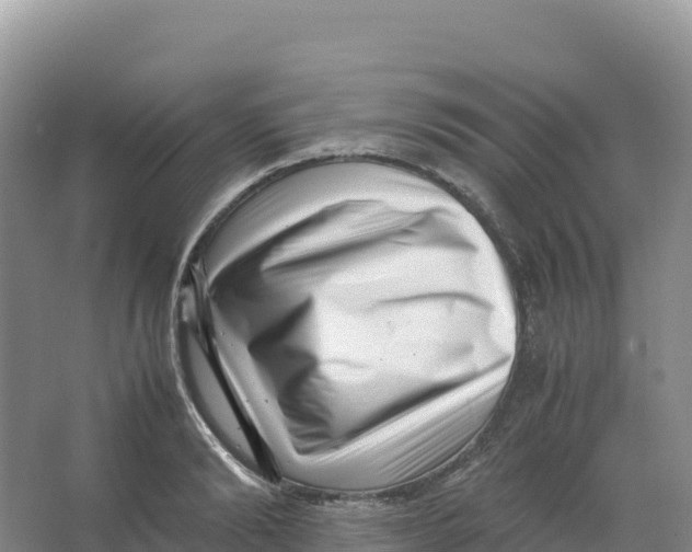 X0000066960894200604142112