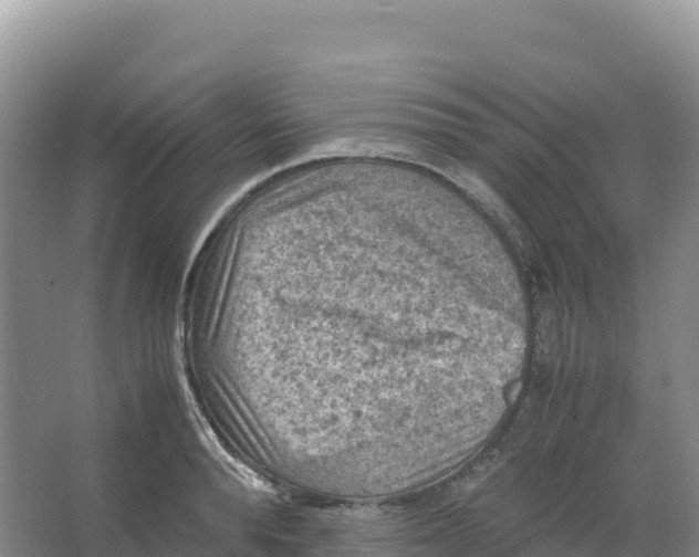 X0000066960896200604142112