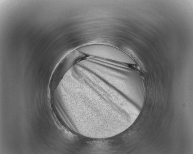 X0000066960900200604142112