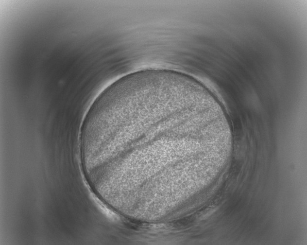 X0000066960903200604142112