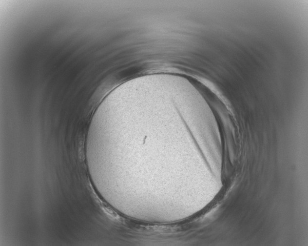 X0000066960905200604142112