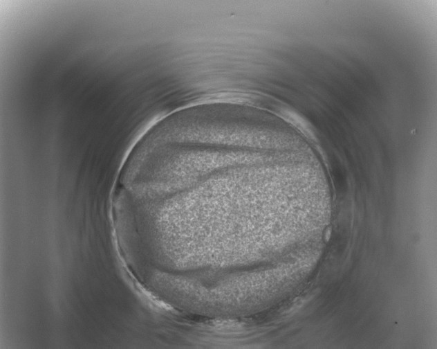 X0000066960907200604142112