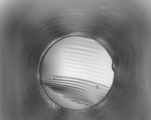 X0000066960908200604142112