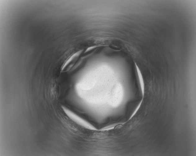 X0000066960914200604142111