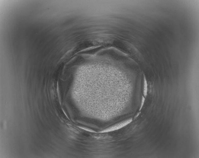 X0000066960915200604142111