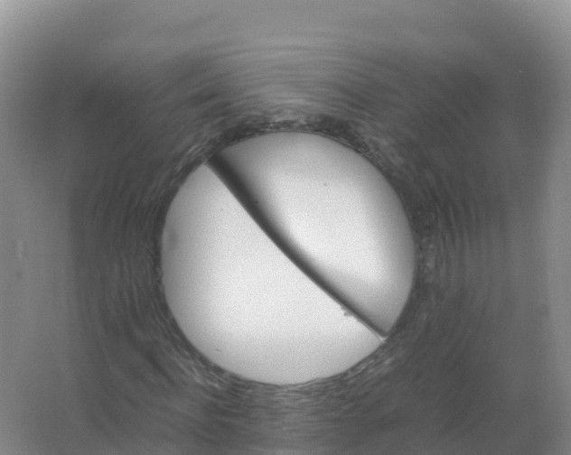 X0000066960916200604142111