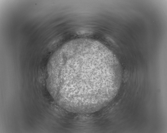 X0000066960917200604142111