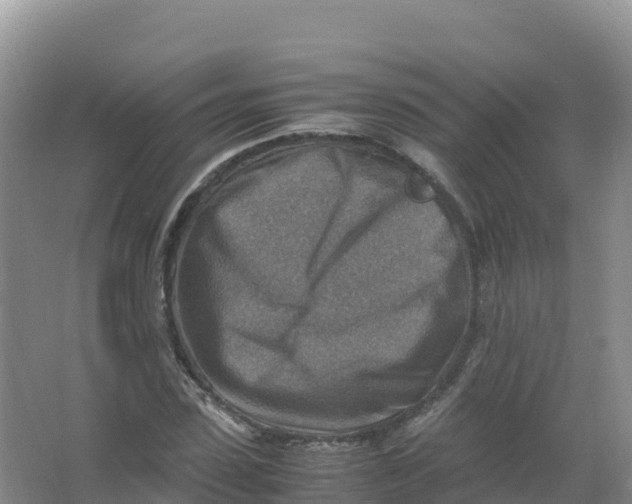 X0000066960923200604142111