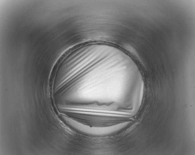 X0000066960924200604142111