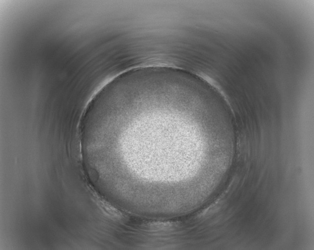 X0000066960925200604142111