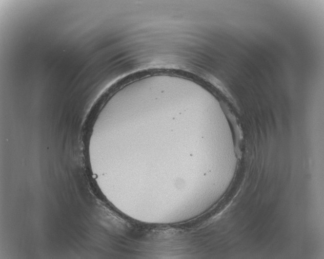 X0000066960926200604142111