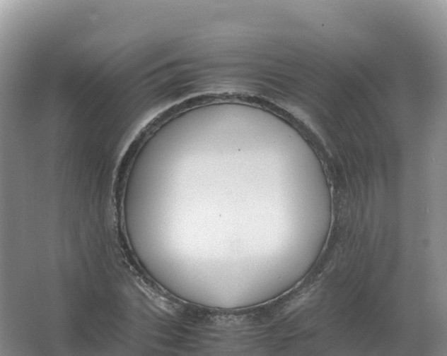 X0000066960927200604142111