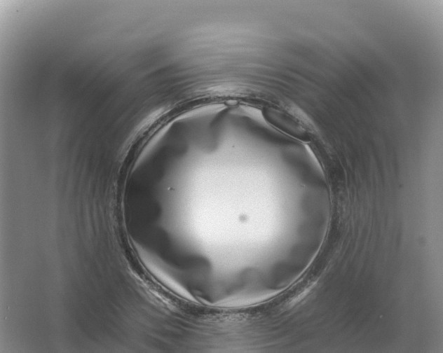 X0000066960930200604142111