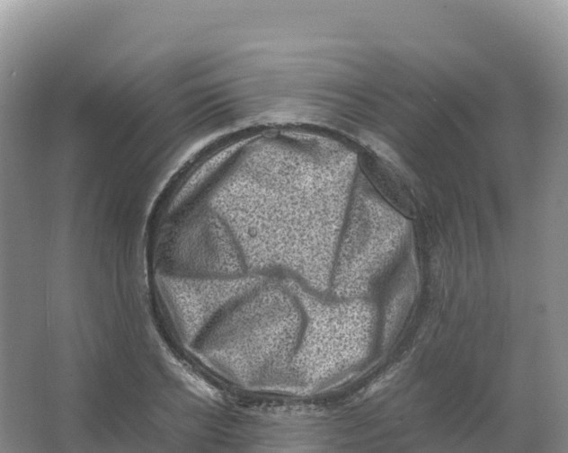 X0000066960934200604142111