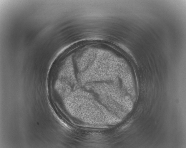 X0000066960935200604142111