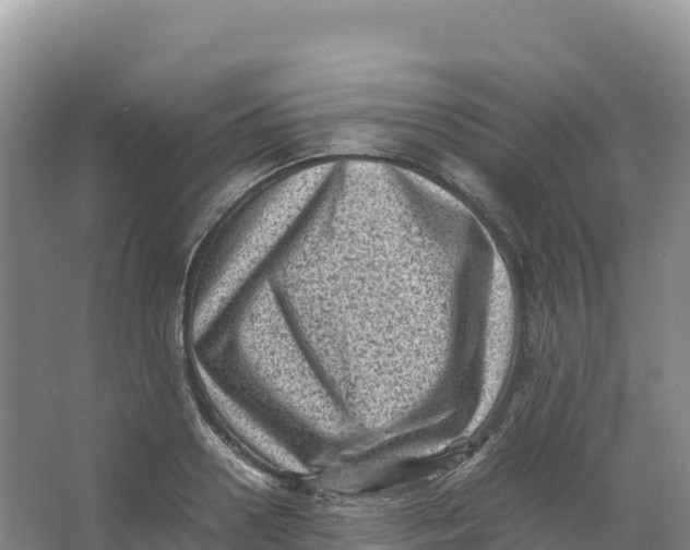 X0000066960938200604142111