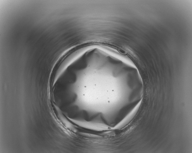 X0000066960940200604142111