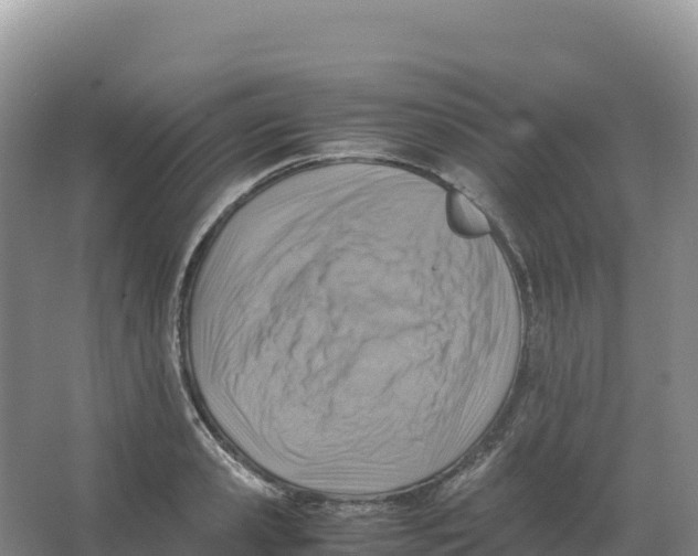 X0000066960941200604142111