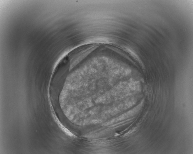 X0000066960944200604142111