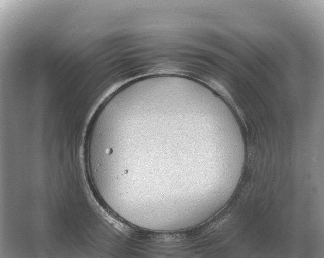 X0000066960947200604142111