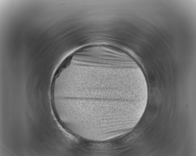 X0000066960951200604142112