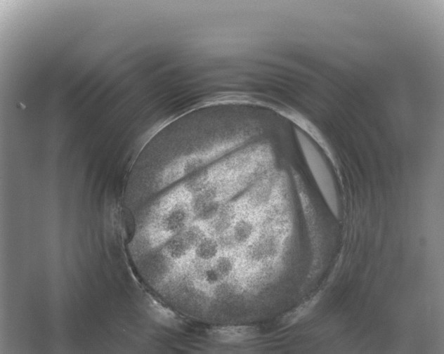 X0000066960953200604142112