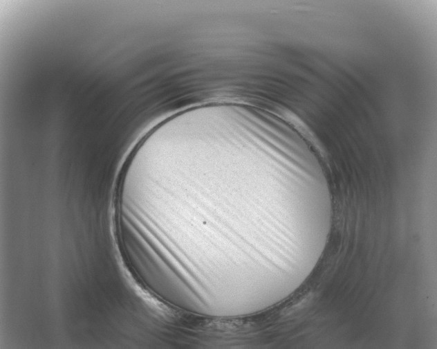 X0000066960955200604142112