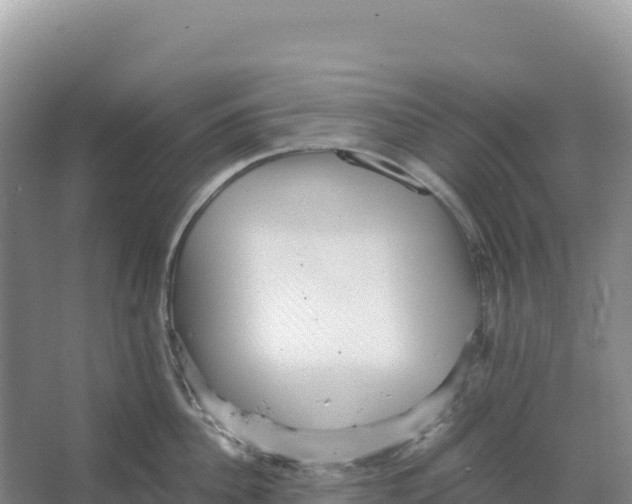 X0000066960956200604142112