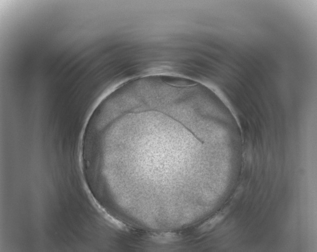 X0000066960957200604142112