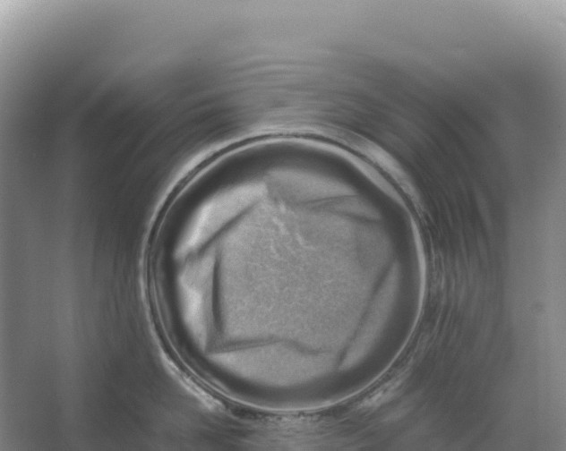 X0000066960958200604142112