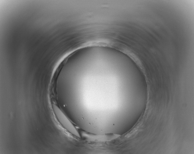 X0000066960960200604142112