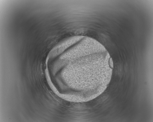 X0000066960962200604142111