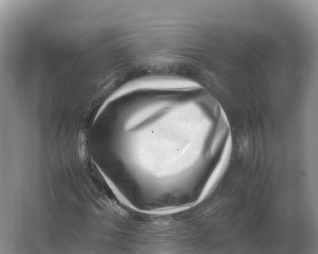 X0000066960964200604142111